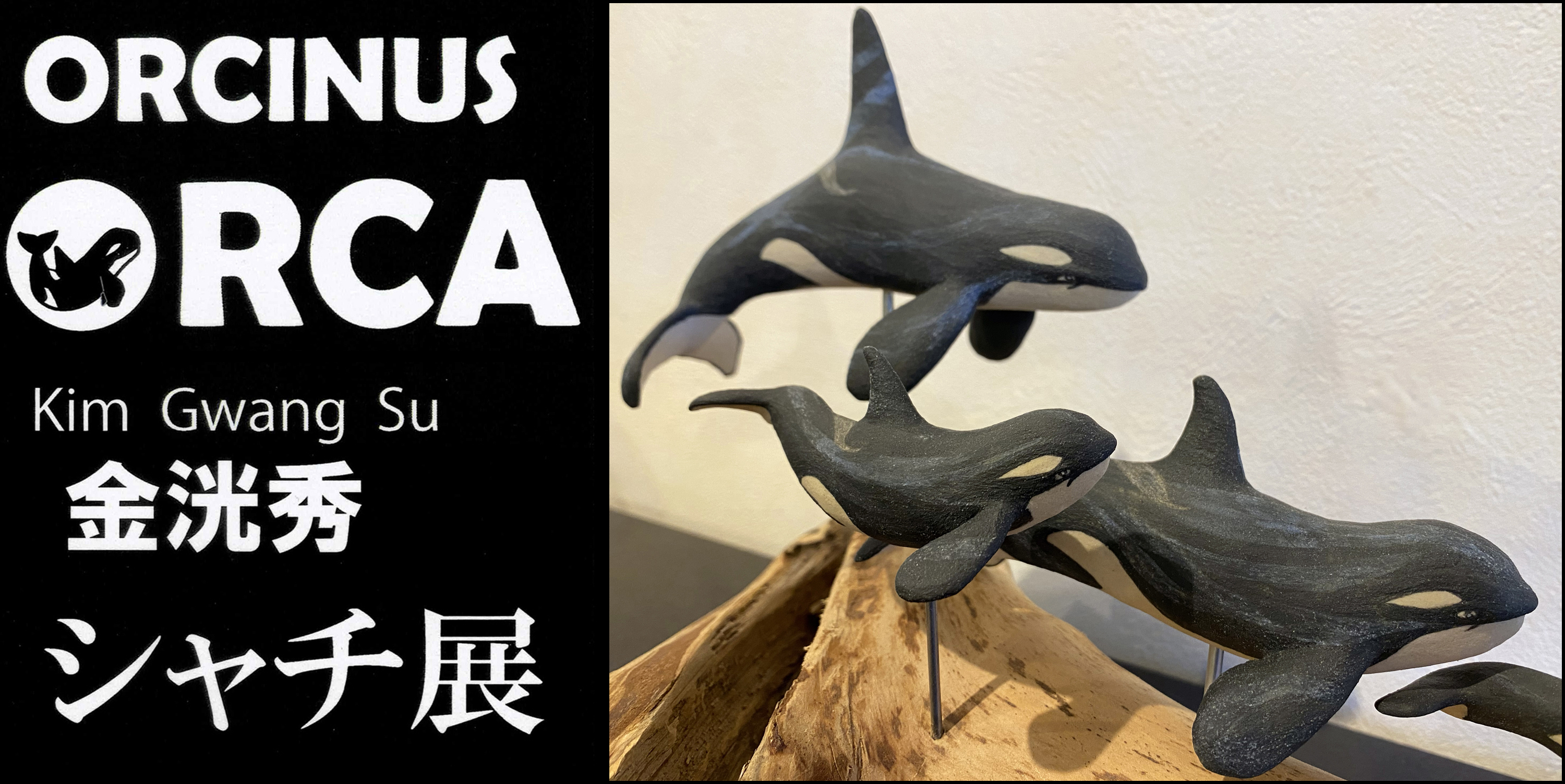 金 洸秀（キム グァンス）ORCINUS ORCA　シャチ展