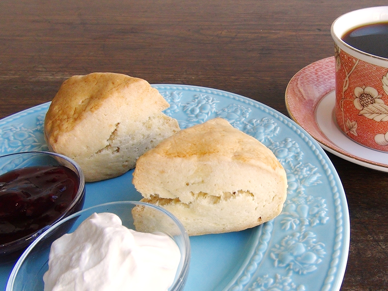 火星の庭カフェ写真